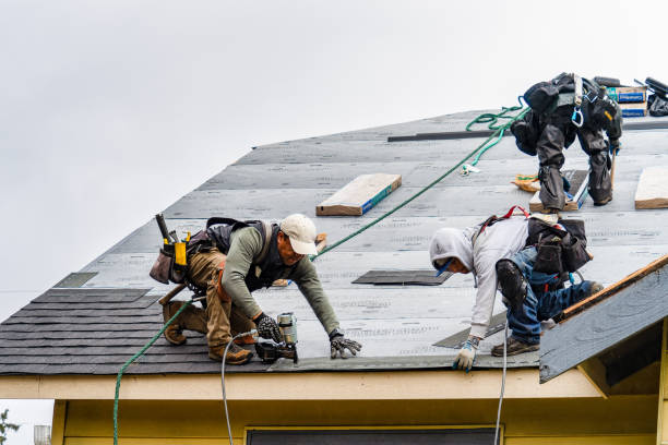 Professional Storm Damage Roof Repair technician working in West Orange, NJ